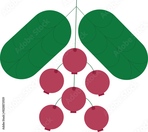 Cranberries vector illustration