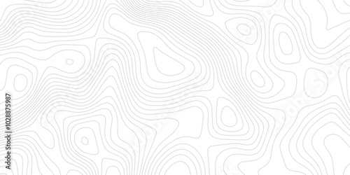 Abstract topography background. Topographic contour map subtle. Wavy paper curved reliefs White background. Geographic mountain relief curve lines background. Vector illustration.