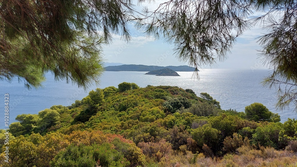 Beautiful view of open blue sea through the green trees. Beautiful view of open blue sea through the green trees.