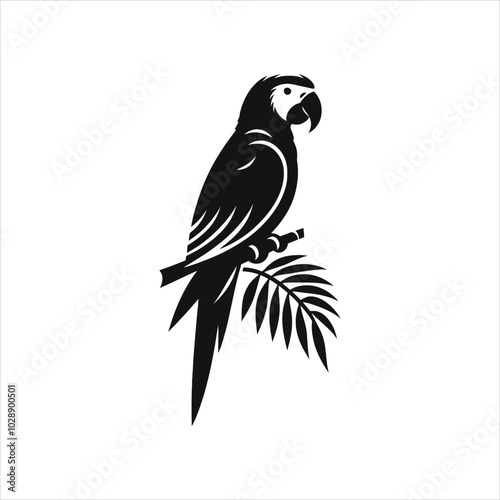 Parrot 1.eps