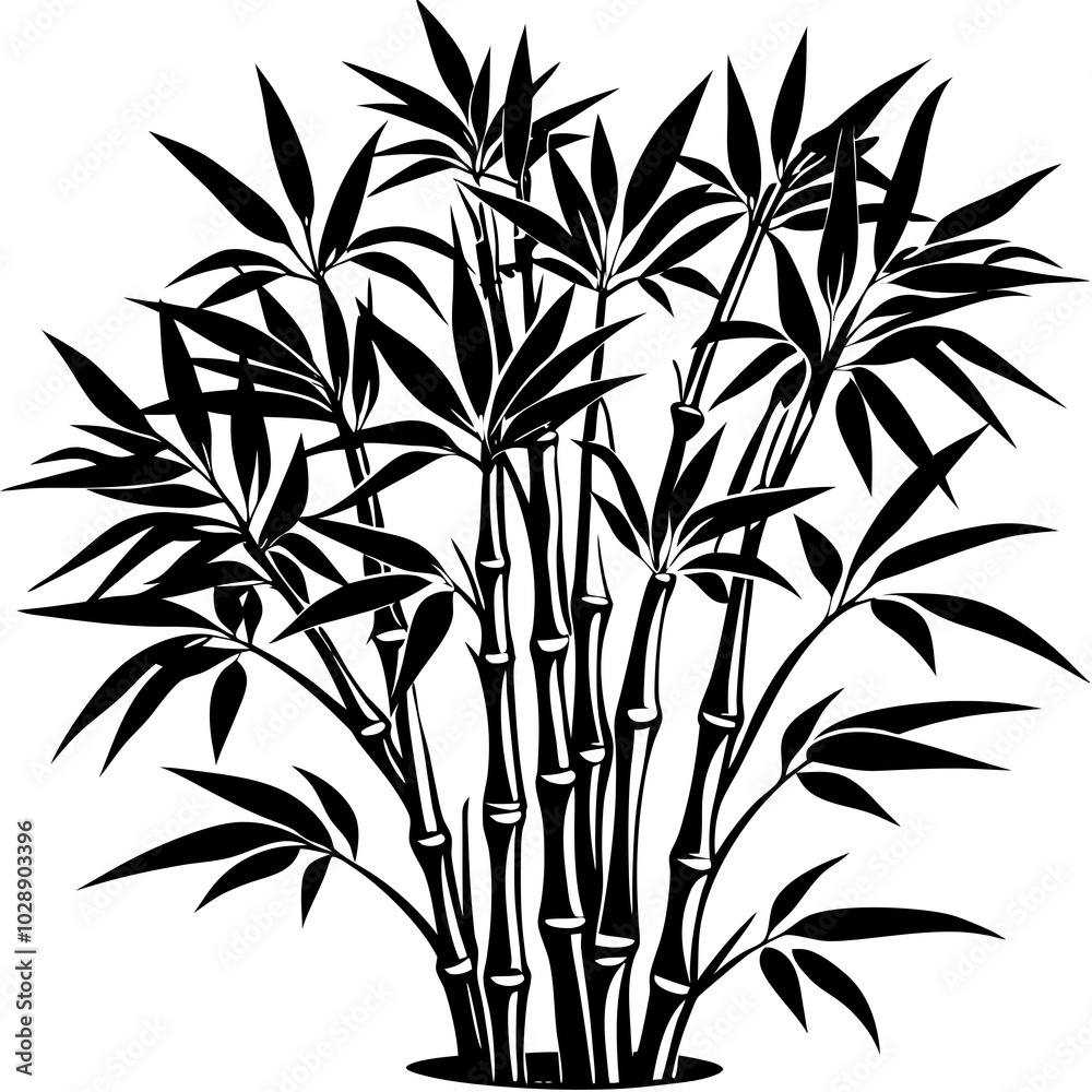 Fototapeta premium bamboo