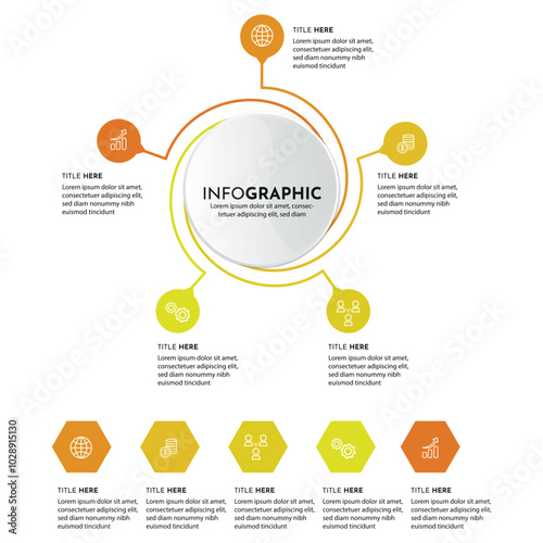 infographic 5 elements template elegant dynamic circle layout