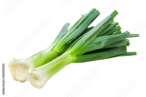 Fresh green leek stem isolated on white background.