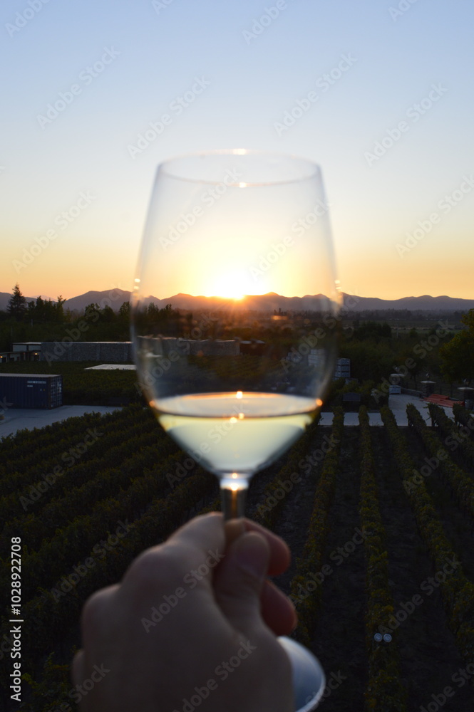 Obraz premium Pôr do sol na taça de vinho