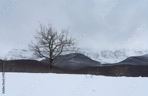 Snow and mountains in Abruzzo - Italy 