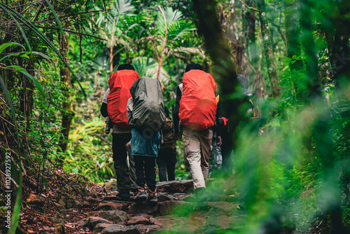 Group of friends hiking together in nature.They walking on old path. Group of people walking by hiking trail in forest. 