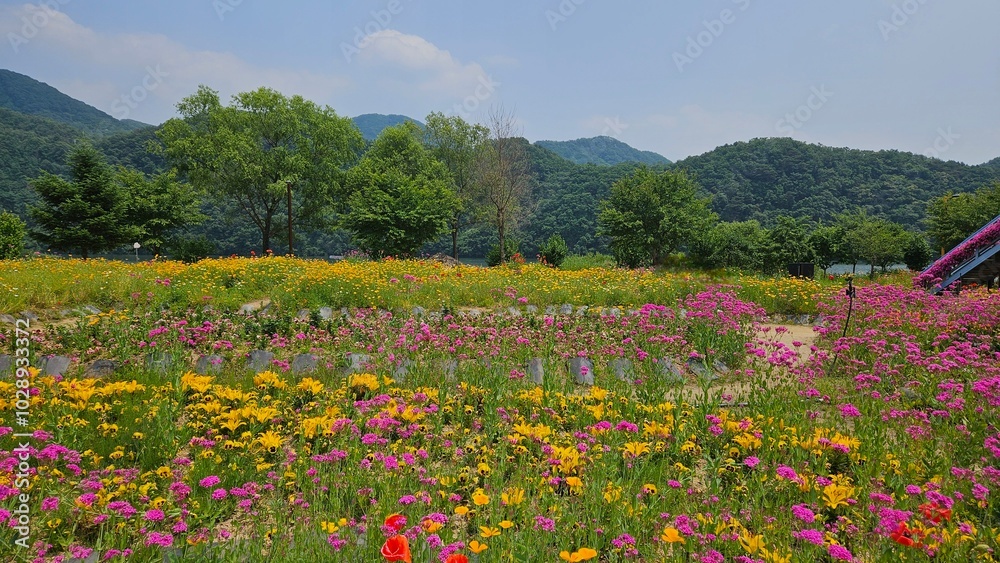 A beautiful flower field full of early summer vibes A beautiful flower field full of early summer vibes