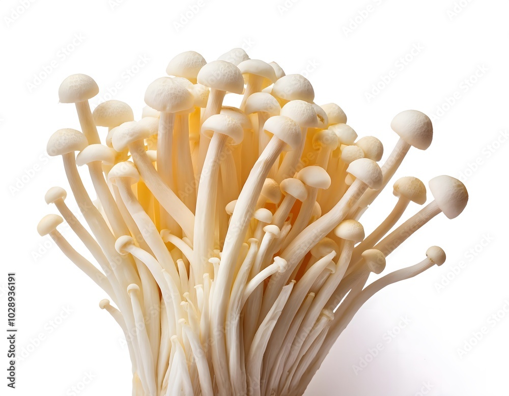 Enoki Mushrooms Enoki Mushrooms