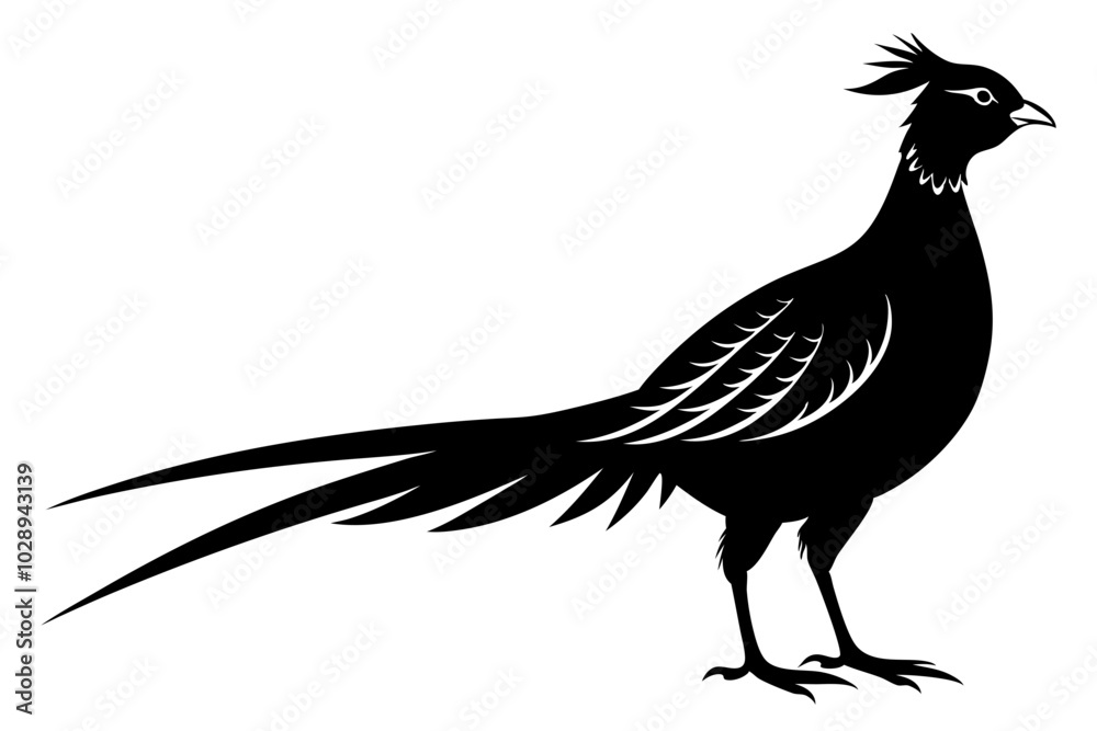 Obraz premium pheasant vector silhouette vector illustration