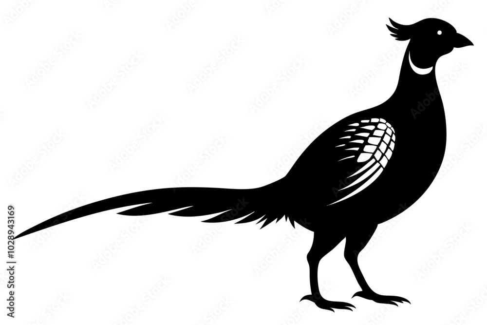 Obraz premium pheasant vector silhouette vector illustration