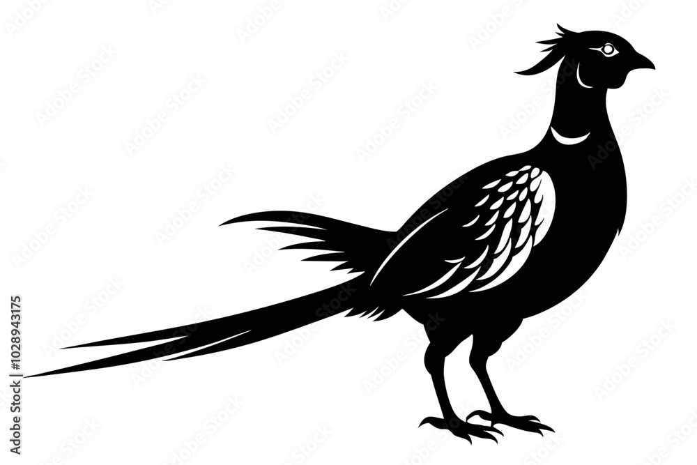 Obraz premium pheasant vector silhouette vector illustration