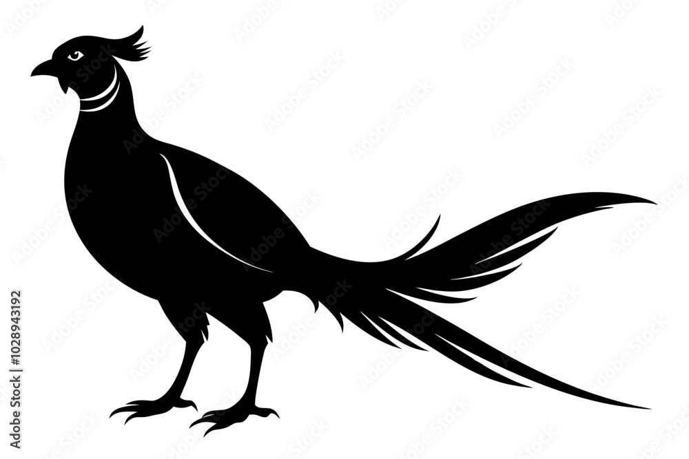 Obraz premium pheasant vector silhouette vector illustration