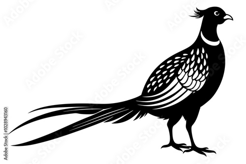 pheasant vector silhouette vector illustration