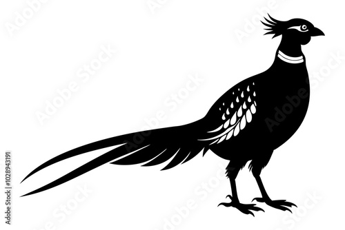 pheasant vector silhouette vector illustration