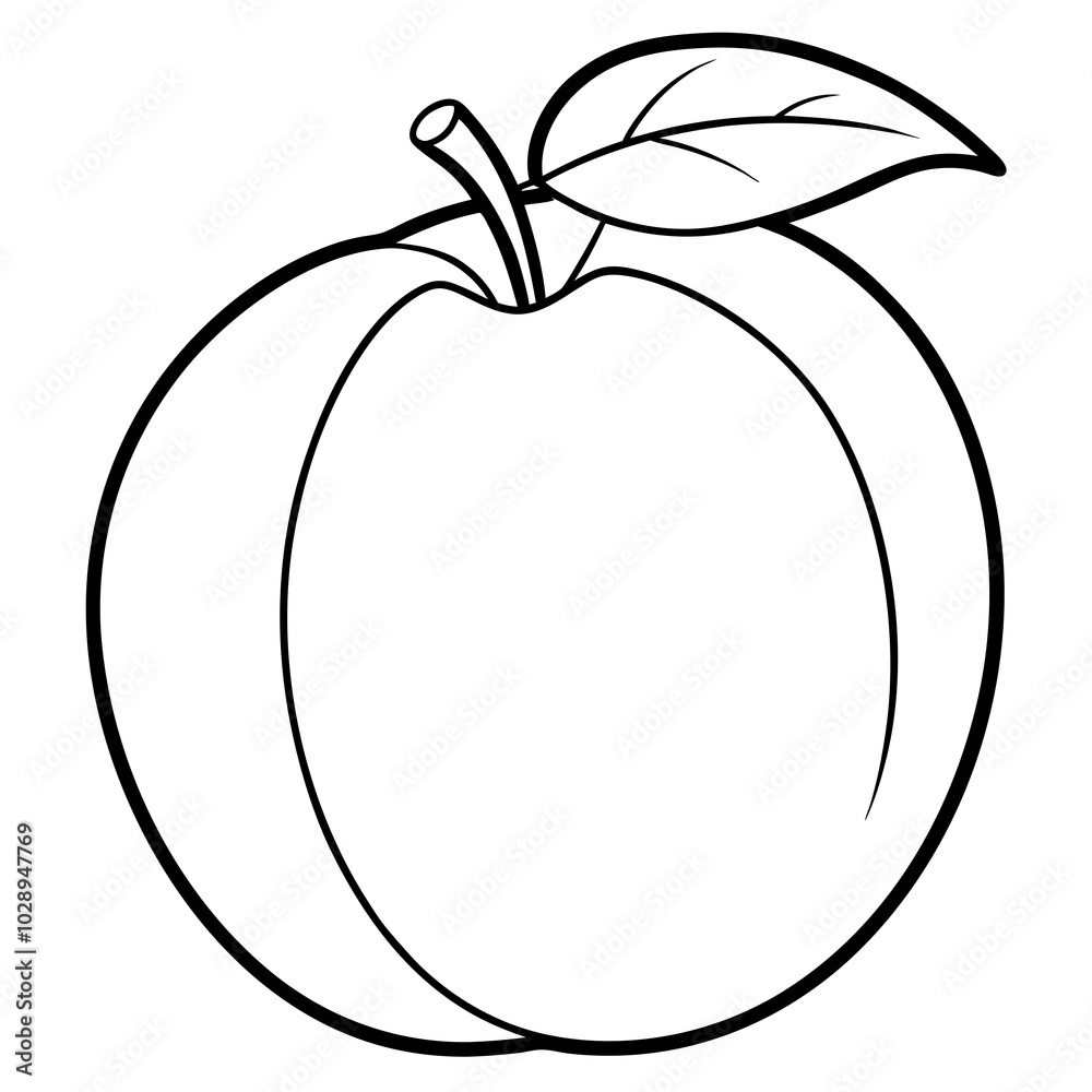 Apricot line art
vector illustration on a white background
Apricot line art
vector illustration on a white background