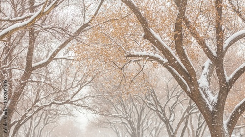 A hauntingly beautiful winter forest, with snow-covered branches and thick fog creating a mystical, ethereal scene.