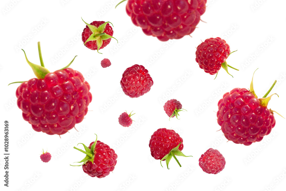 raspberry isolated on white raspberry isolated on white