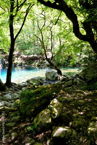 Shallow part of the river Vikos with crystal clear turquoise water surrounded by green bushes and trees at the bottom of the Vikos Gorge in Greece in the province of Epirus, hiking in Greece