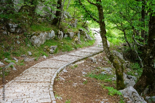 Stony hiking trail surrounded by nature, leading to the famous Vikos Gorge in Eprius in Greece  photo