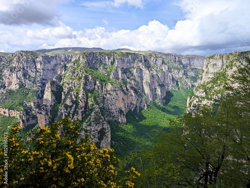  Panoramic view over the steep and green cliffs of the Vikos Gorge in Epirus, Greece on a summer's day. The gorge in the Pindus Mountains is one of the deepest gorges in the world. Hiking in Greece