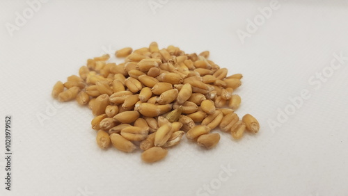 Close up Gandam seeds white background HD 4K image photo