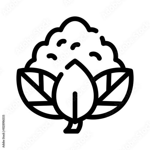 Cauliflower line icon