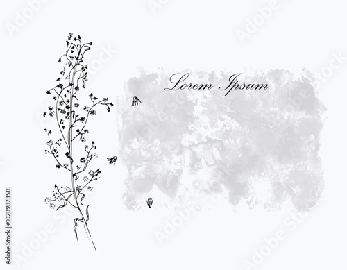 A postcard, a letterhead with plant elements. A wildflower, an abstract gray spot with an inscription on a white background.