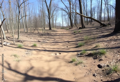 Fossilized Footprint Trail Follow a trail of fossilized footprin photo