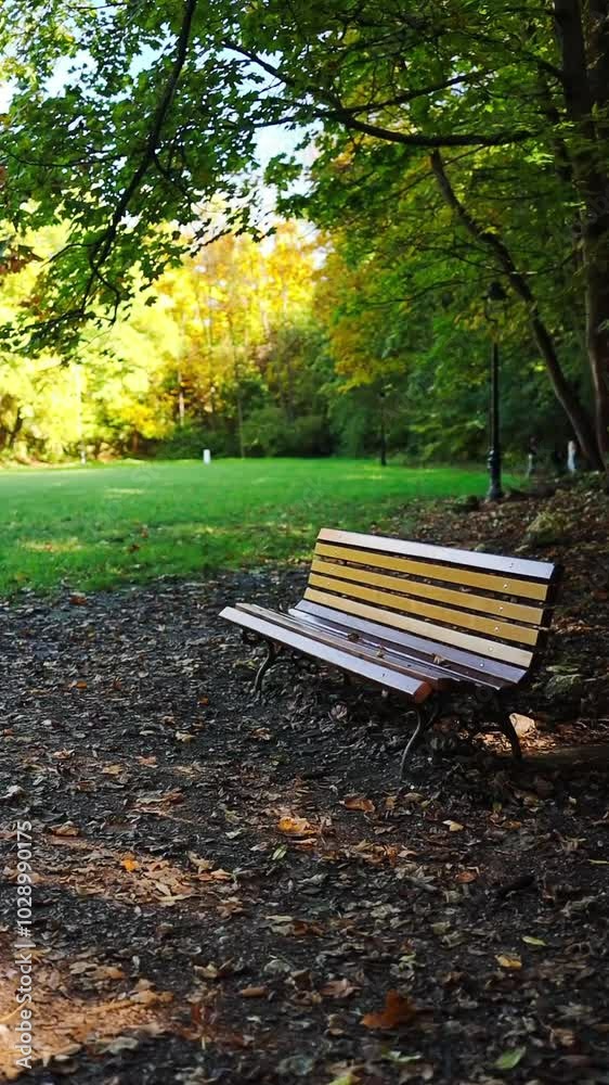 Autumn landscape. Autumn in the city park. Golden foliage in late fall. Beautiful nature. High quality FullHD footage Autumn landscape. Autumn in the city park. Golden foliage in late fall. Beautiful nature. High quality FullHD footage
