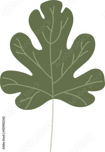 Neutral Autumn Green Fig Leaf