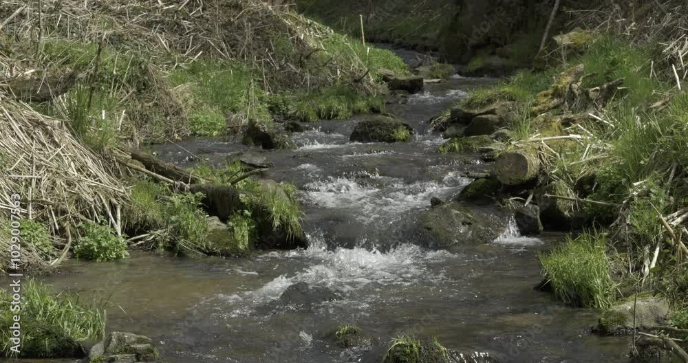 kleiner idyllischer bach, C4K, ProRes, Slowmotion kleiner idyllischer bach, C4K, ProRes, Slowmotion