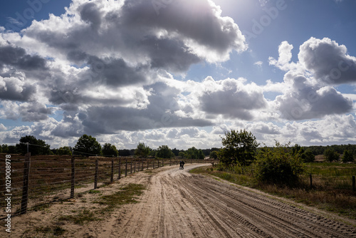 Herbstliche Heidelandschaft