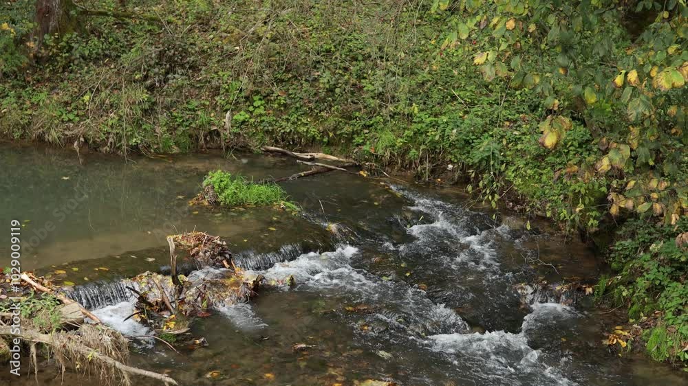 Streaming river water in sunny autumn day with leaves in it. Calm river water floating. Streaming river water in sunny autumn day with leaves in it. Calm river water floating.