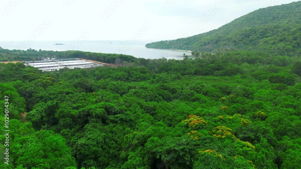 landscape pemandangan udara tepi laut di sebuah pulau tropis yang sejuk dan menenangkan