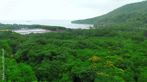 landscape pemandangan udara tepi laut di sebuah pulau tropis yang sejuk dan menenangkan photo