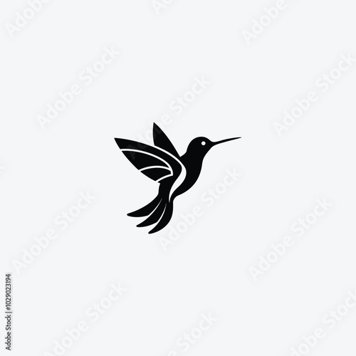 hummingbird illustration