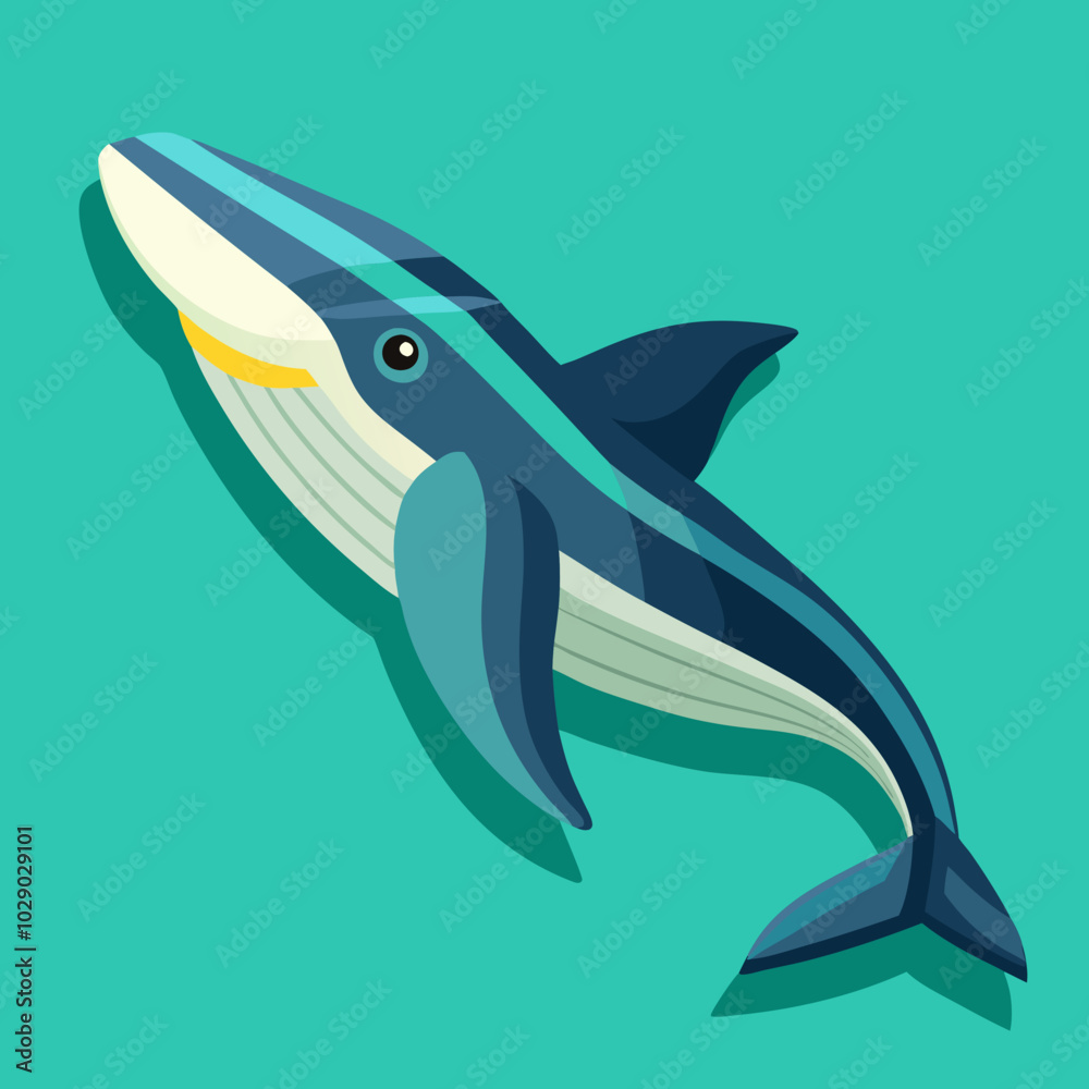 Obraz premium fin-whale-isometric-illustrations