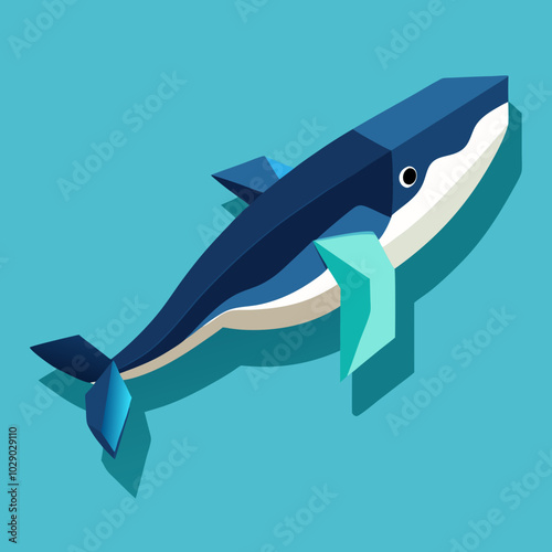 minke-whale-isometric-illustrations