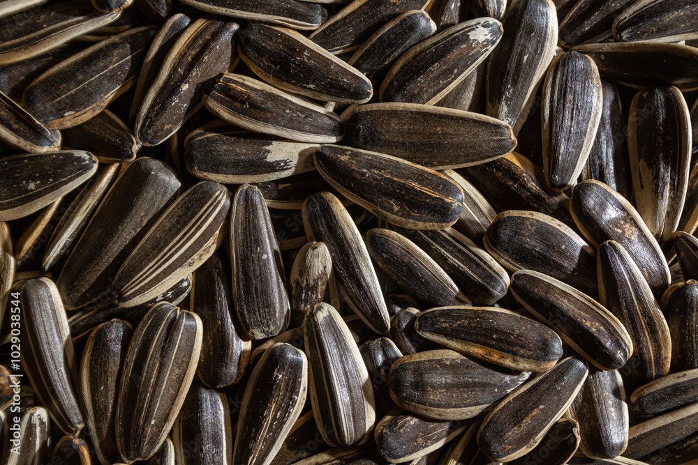 Non Salty Roasted Sunflower Seeds in Shell: A Culinary Canvas of Sunflower Kernels, Creating a Lively and Textured Background for Gourmet Cooking. Scattered Sun Flower Seeds - Top View, Flat Lay Non Salty Roasted Sunflower Seeds in Shell: A Culinary Canvas of Sunflower Kernels, Creating a Lively and Textured Background for Gourmet Cooking. Scattered Sun Flower Seeds - Top View, Flat Lay