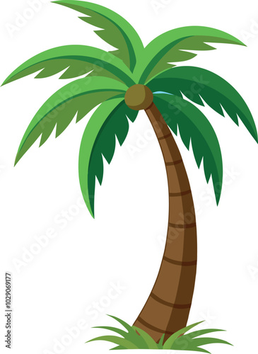 palm tree vector