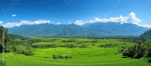 Picturesque view of a valley with lush green rice paddies and a majestic mountain range in the background.