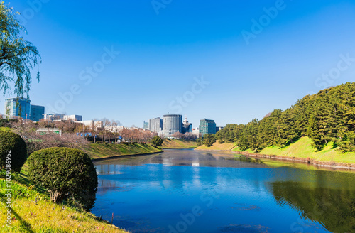 Obraz na płótnie 東京 桜田濠 w salonie