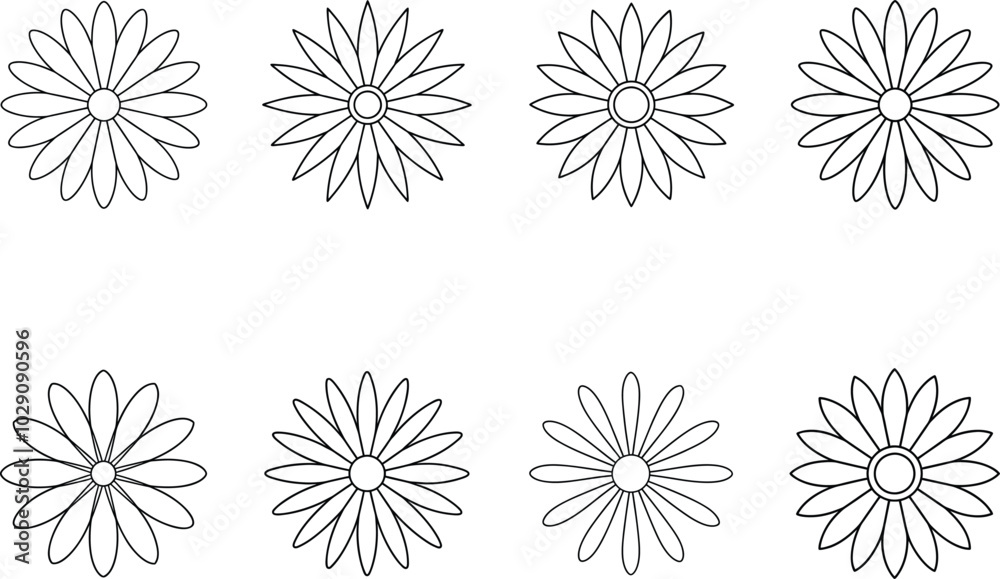 Black and White Daisy Flower Outline Pattern Black and White Daisy Flower Outline Pattern