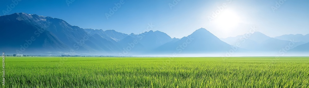 Serene green meadow, a picturesque landscape of lush grass and tranquil beauty Serene green meadow, a picturesque landscape of lush grass and tranquil beauty