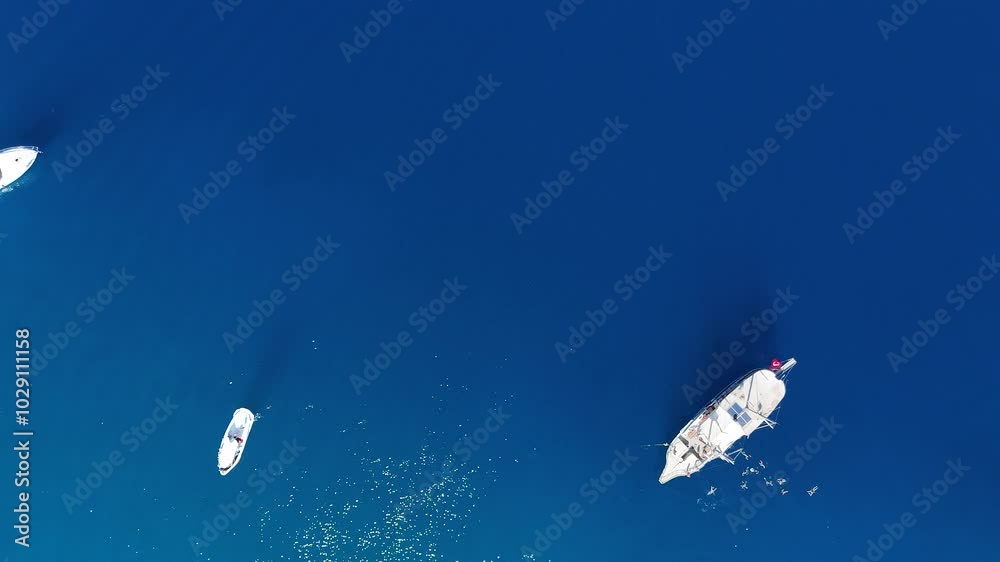 Aerial Drone View of White Yachts with Tourists, Background with Space for Text Aerial Drone View of White Yachts with Tourists, Background with Space for Text
