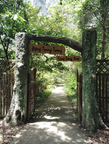 wooden gate in the forest