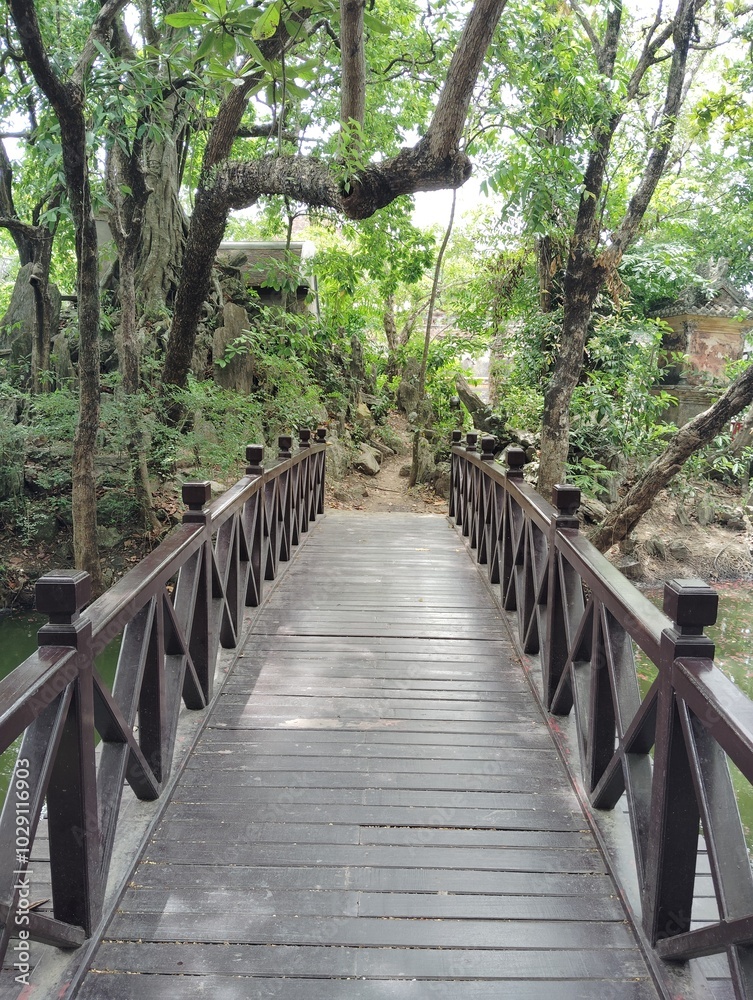 Fototapeta premium wooden bridge in the woods
