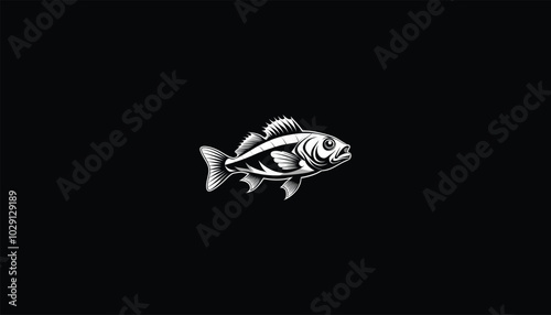 Rockfish, Black Background, White Outline, Detailed Marine Fish Illustration photo