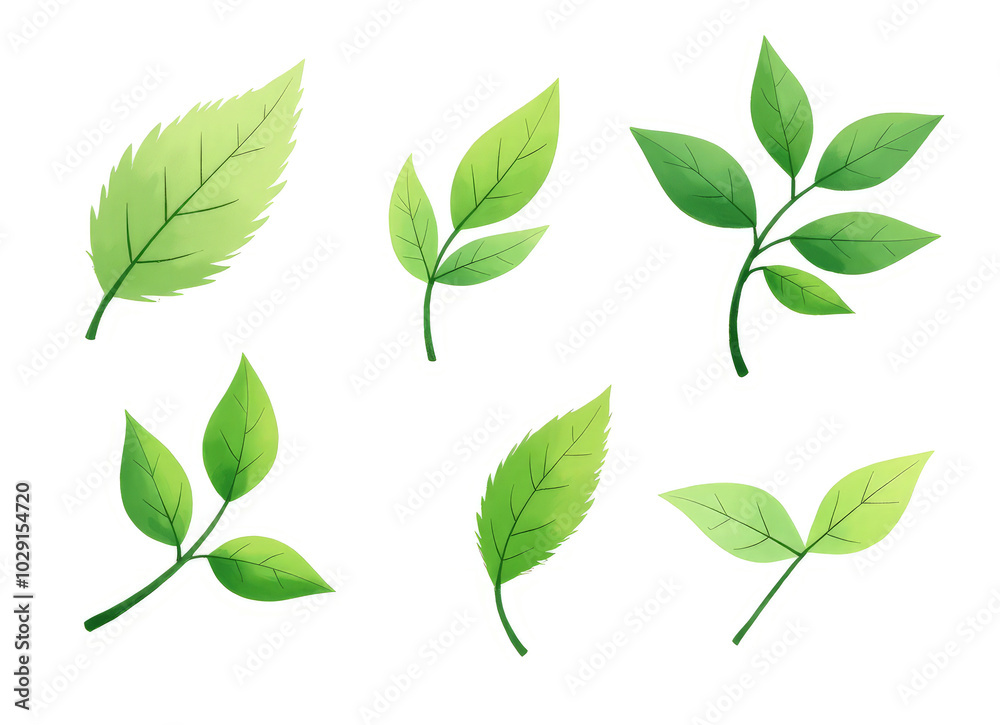 set of painted green leaves on a white background set of painted green leaves on a white background
