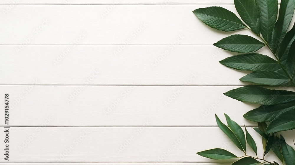 Green leaves on white wooden background Green leaves on white wooden background